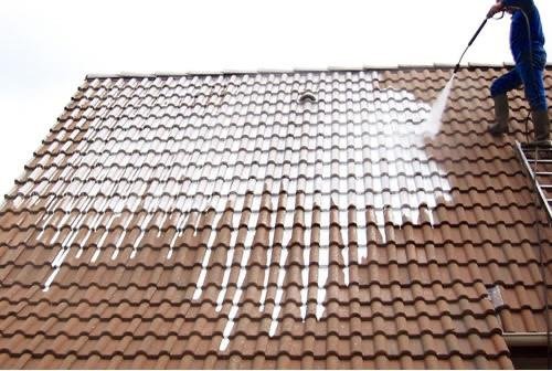 traitement-anti-mousse-dalep traitement antimousse dalep démoussage de toiture